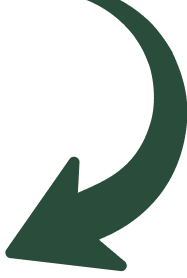 Website development calgary
